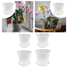 Vaso per orchidee creativo