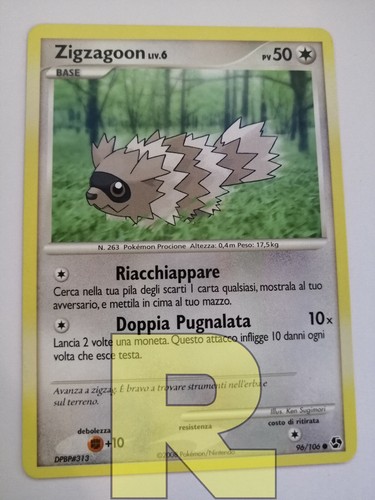 Zigzagoon incontri - zigzagoon,