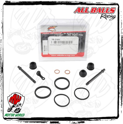 Kit revisione pinza freno - pinza,