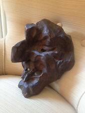 Straordinaria particolare