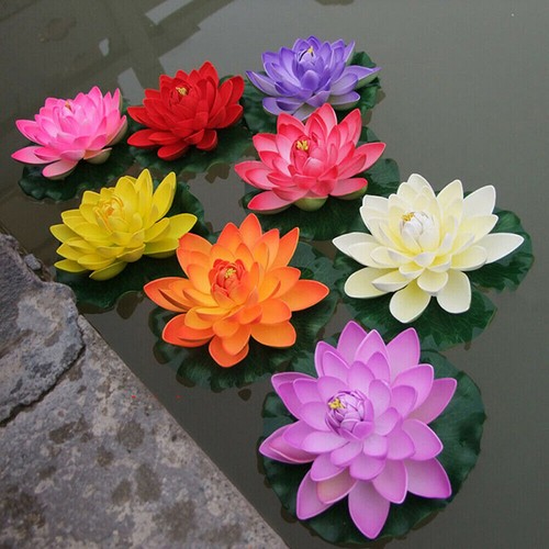 5pcs fiore ninfea - 5pcs,