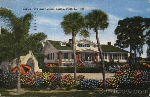 Tampa florida palama - tampa,,