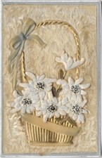 Cartolina d'epoca (1)