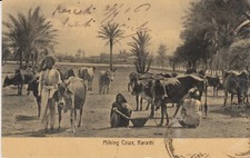 $CT/ Karachi (Pakistan) -