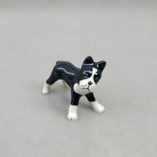 Bulldog francese miniatura