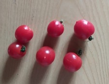 semi rari. pomodoro, mais