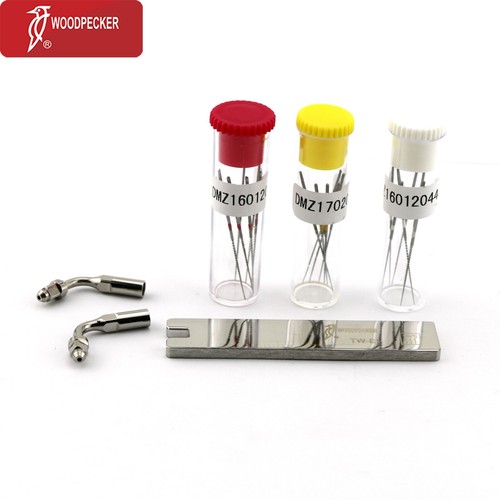 Woodpecker dte dentale - dte,