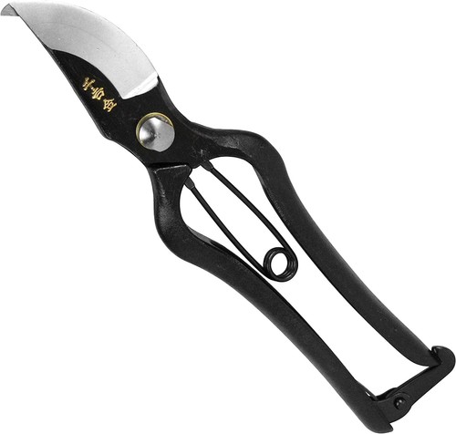 Senkichi gold forbici - gold, da