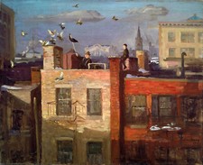 John Sloan - Pigeons New York