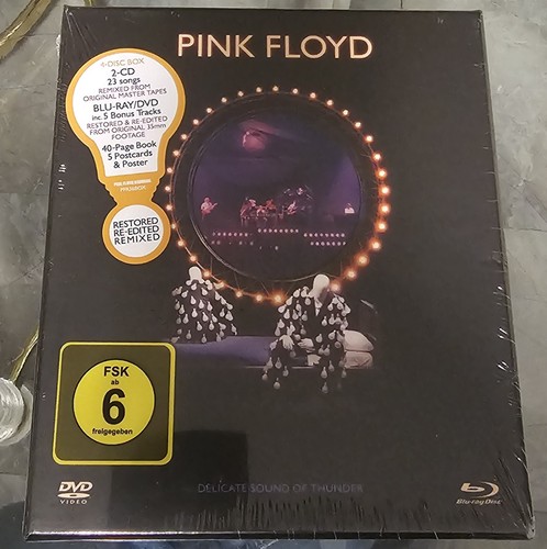 Pink floyd delicate - delicate, sound