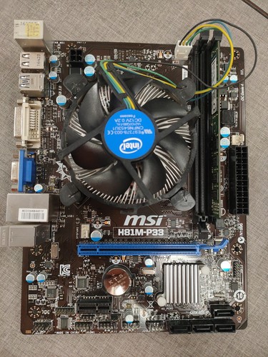 Msi h81m p33 1x ddr3 - h81m-p33,