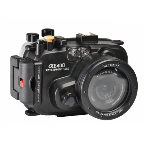 Fotografia subacqua seafrogs - fotografia,