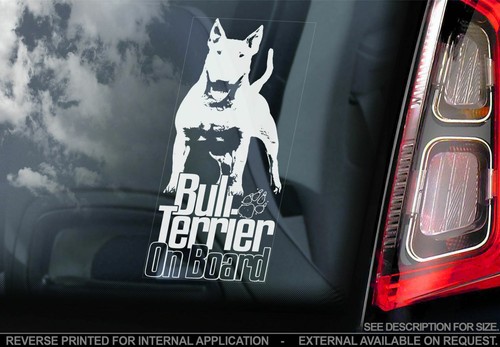 English bull terrier car - bull,