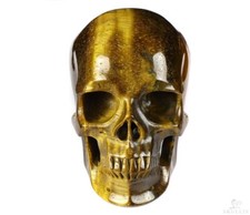 Flash 5.0" Teschio Cristallo