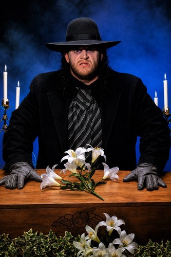 Poster wwe gigante x36 - poster, 24”x36”