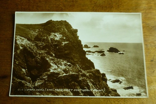 G445 old lizard - head, (englands