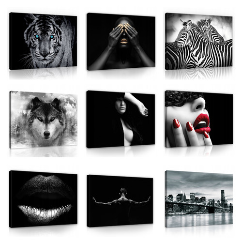 Quadri animali bianco nero - quadri,