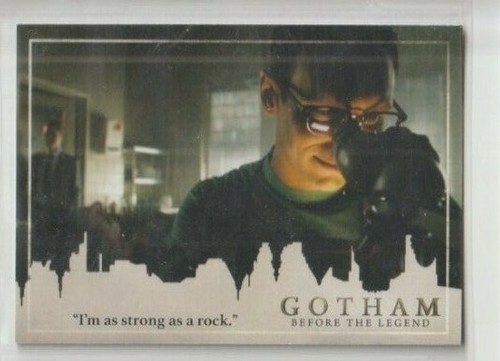 Gotham show season - gotham, 2