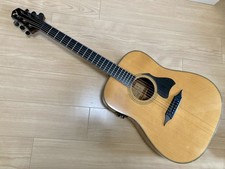 Chitarra acustica STR x