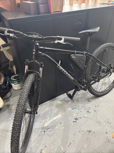 Mountain bike - mountain,
