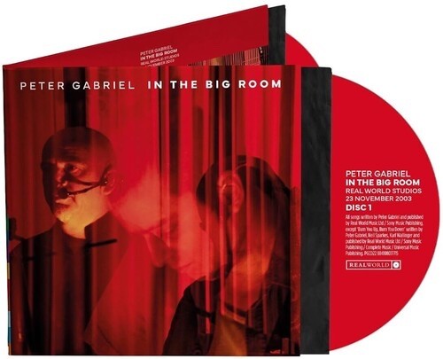 Peter gabriel the big - gabriel,