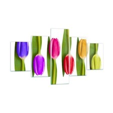 Quadro su Vetro 125x70cm