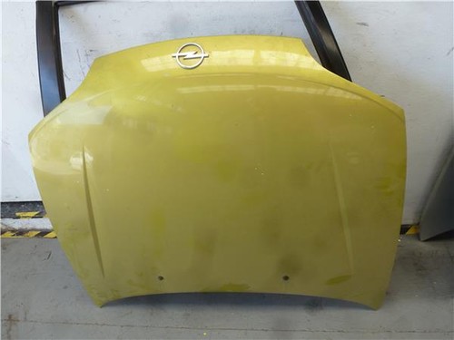 Necesitapintar cofano opel - necesitapintar,