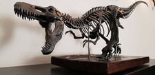Modello di T-REX scheletro 60x30x20 cm