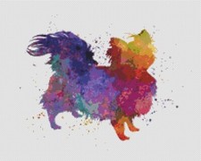 Cane cucciolo Chihuahua