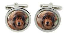 Tibetano Mastino Gemelli IN