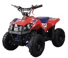 MINIQUAD SHUTTLE 50cc PULL