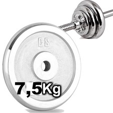 DISCO OLIMPICO IN ACCIAIO