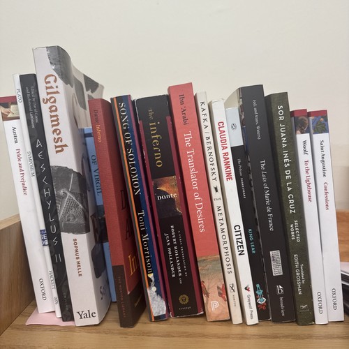Set books like new - set,