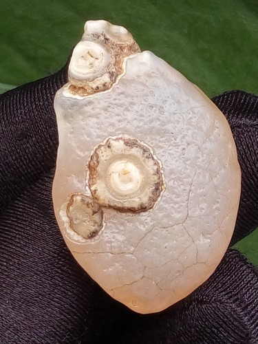 40mm bellissima rara agata - 40mm,