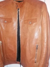 Giubbotto uomo: Gucci