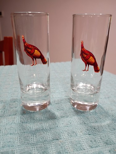 Due bicchieri whisky - da,