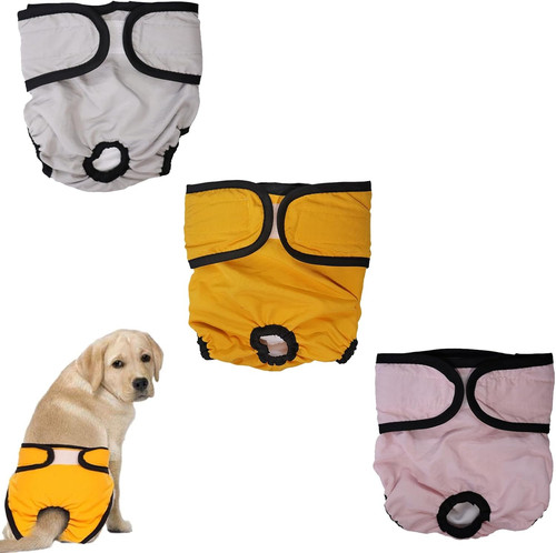Pezzi mutande cane femmina - 3,