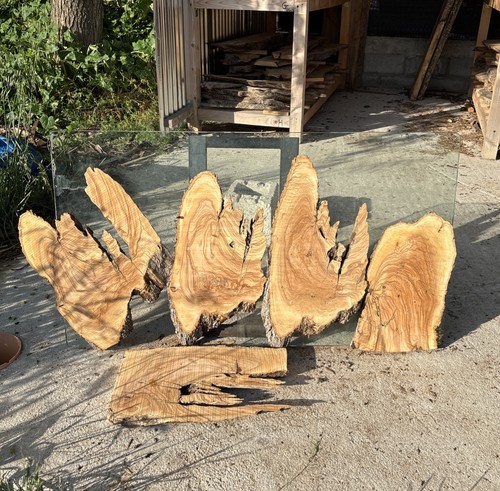 Tavole legno ulivo - di, 5