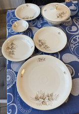 Servizio piatti  porcellana