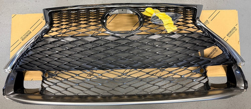 Lexus front radaitor - front,