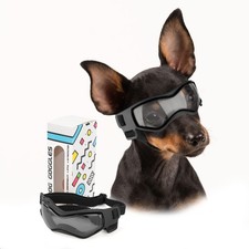 Occhiali per cani - occhiali, di
