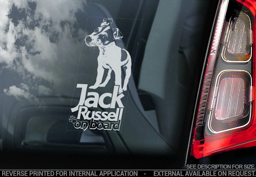 Adesivo auto jack russel - auto,