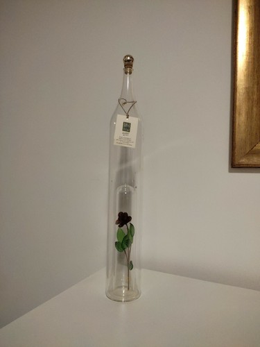 Bottiglia grappa vetro - grappa,