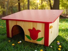 CASETTA PER TARTARUGHE DI