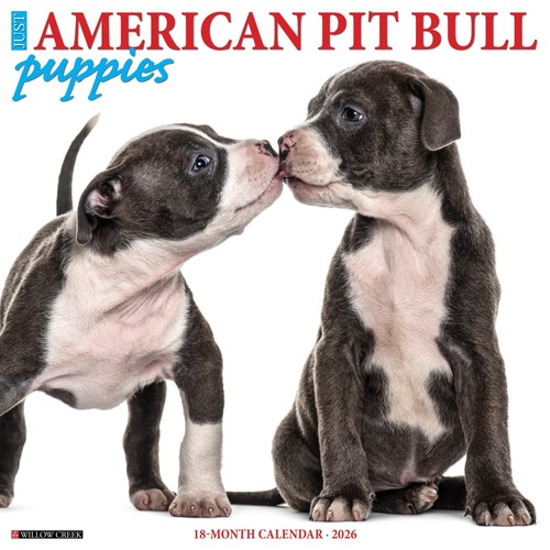 Calendario parete american - parete,