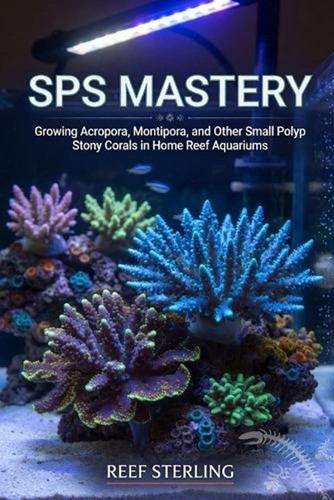 Sps mastery growing acropora - mastery:,