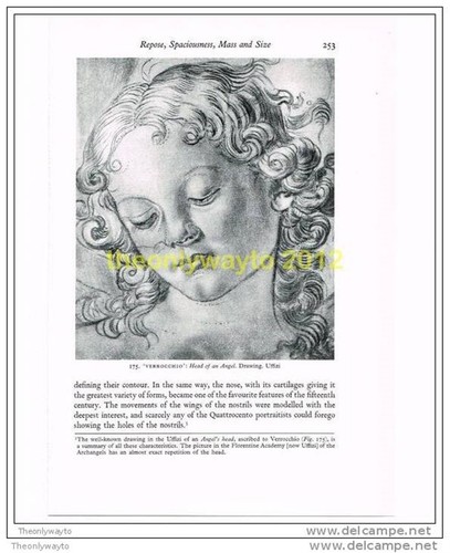 Verrocchio testa angelo - verrocchio,,