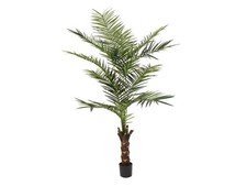 Albero di Kentia Artificiale
