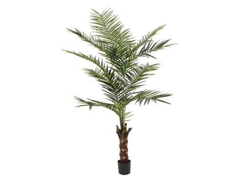 Albero kentia artificiale - di,
