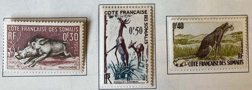 Costa somala 1958 facococo